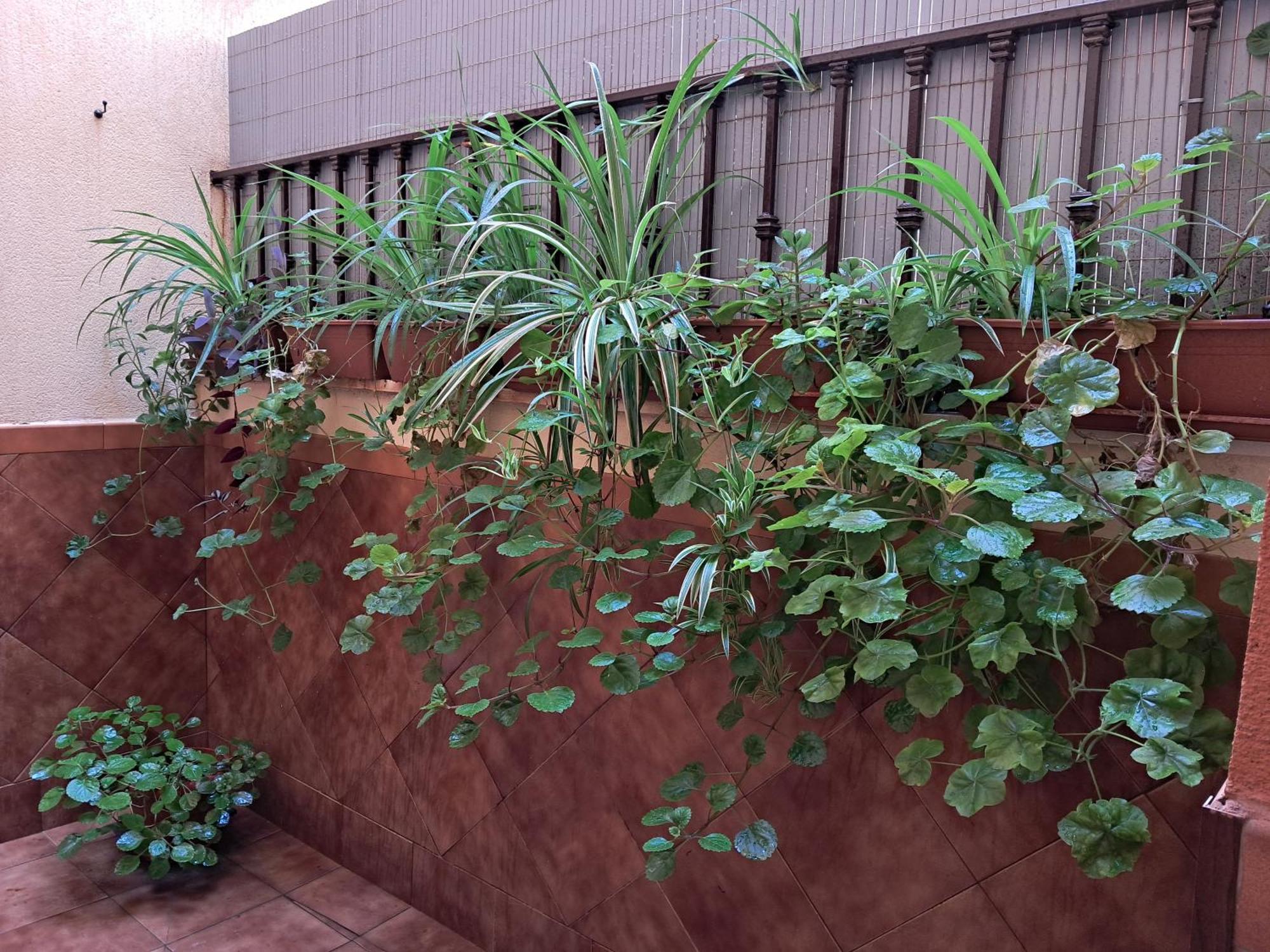 Apartamento La Reina Córdoba Exterior foto